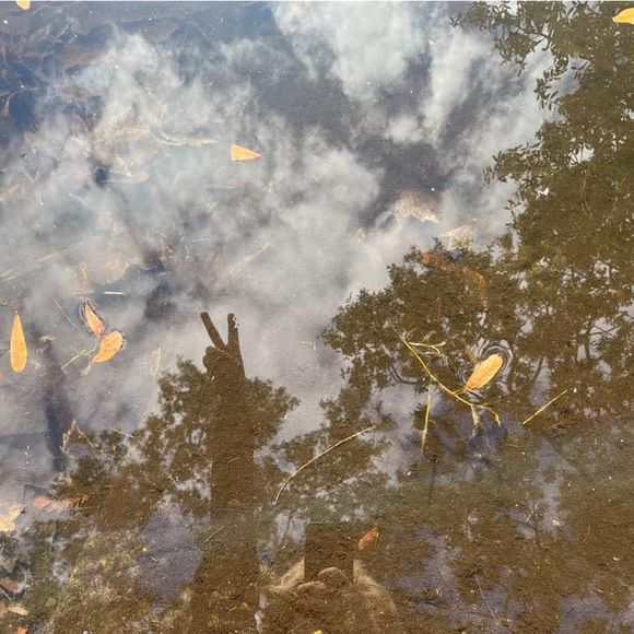 Meet your Posher, Brittany - Picture 1 of 1